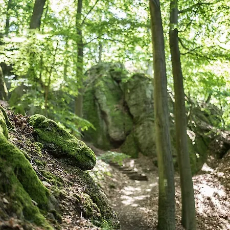 Mitte - Hotel apartamentowy