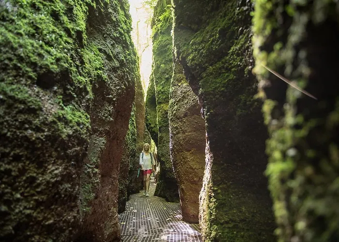 Mitte - Apart-hotel Eisenach